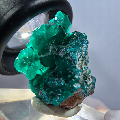 Seltene Dioptas XX Stufe, grün Republik Kongo 30*21*15mm