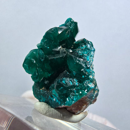 Seltene Dioptas XX Stufe, grün Republik Kongo 30*21*15mm