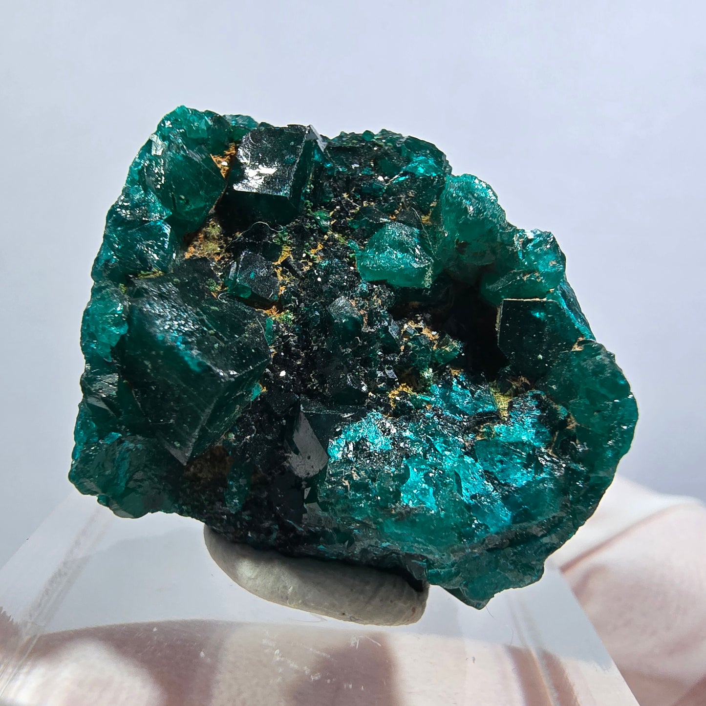 Seltene Dioptas XX Stufe, grün Republik Kongo 25*23*17mm