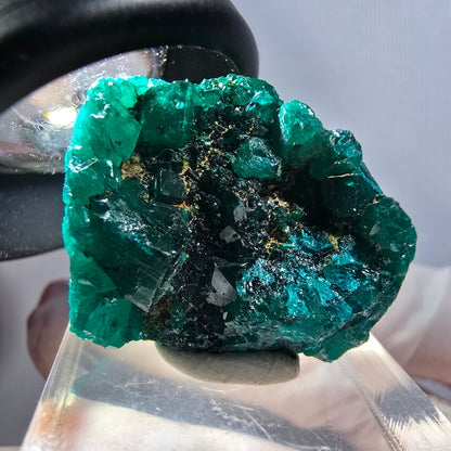 Seltene Dioptas XX Stufe, grün Republik Kongo 25*23*17mm