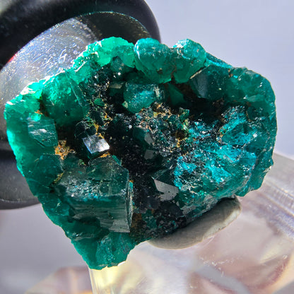 Seltene Dioptas XX Stufe, grün Republik Kongo 25*23*17mm