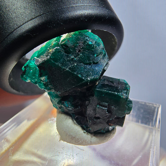 Seltene Dioptas XX Stufe, grün Republik Kongo 22*13*12mm