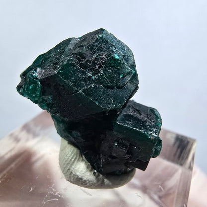 Seltene Dioptas XX Stufe, grün Republik Kongo 22*13*12mm