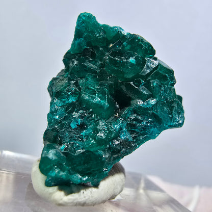 Seltene Dioptas XX Stufe, grün Republik Kongo 24*19*16mm