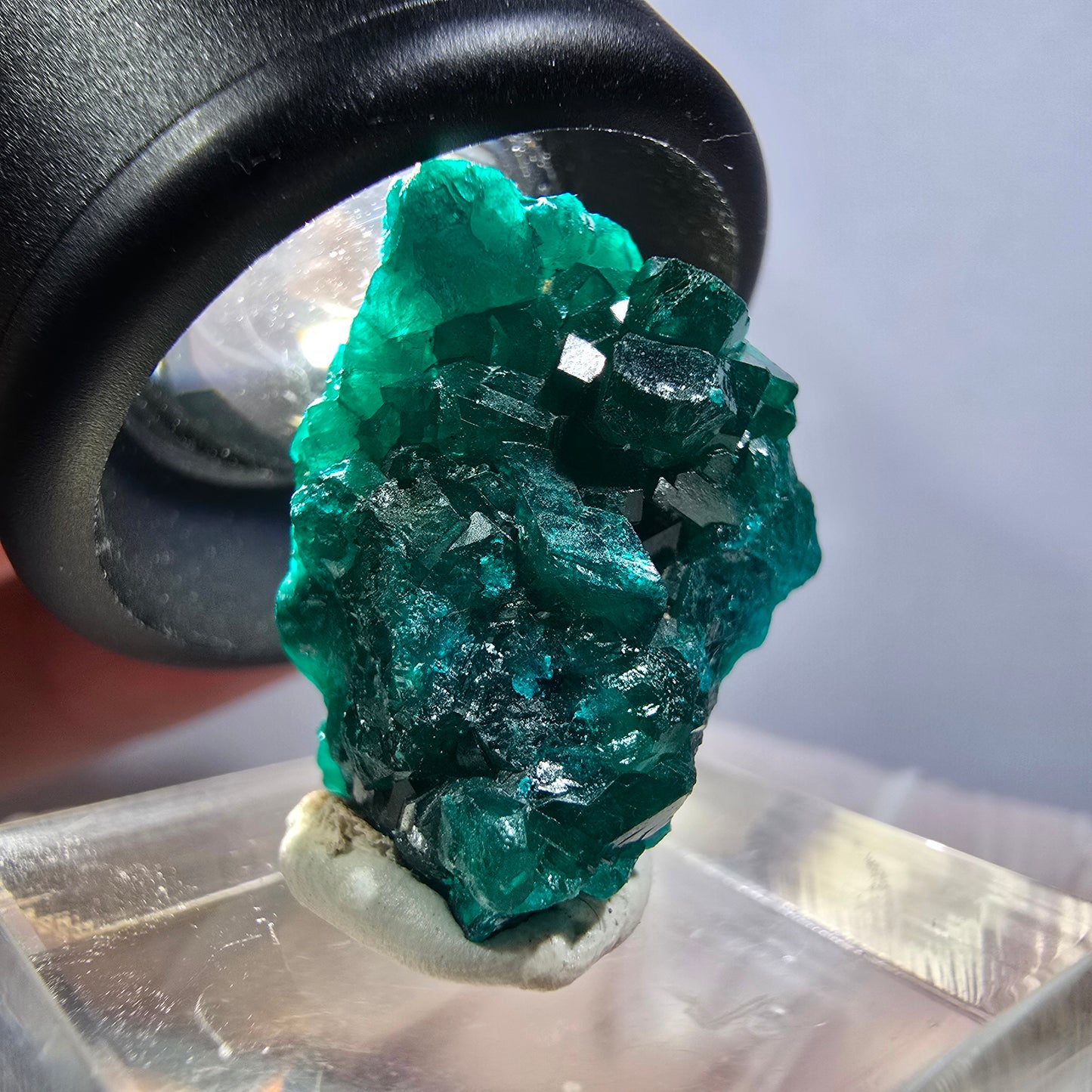 Seltene Dioptas XX Stufe, grün Republik Kongo 24*19*16mm