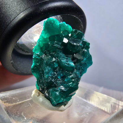 Seltene Dioptas XX Stufe, grün Republik Kongo 24*19*16mm