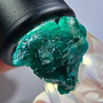 Seltene Dioptas XX Stufe, grün Republik Kongo 24*19*16mm