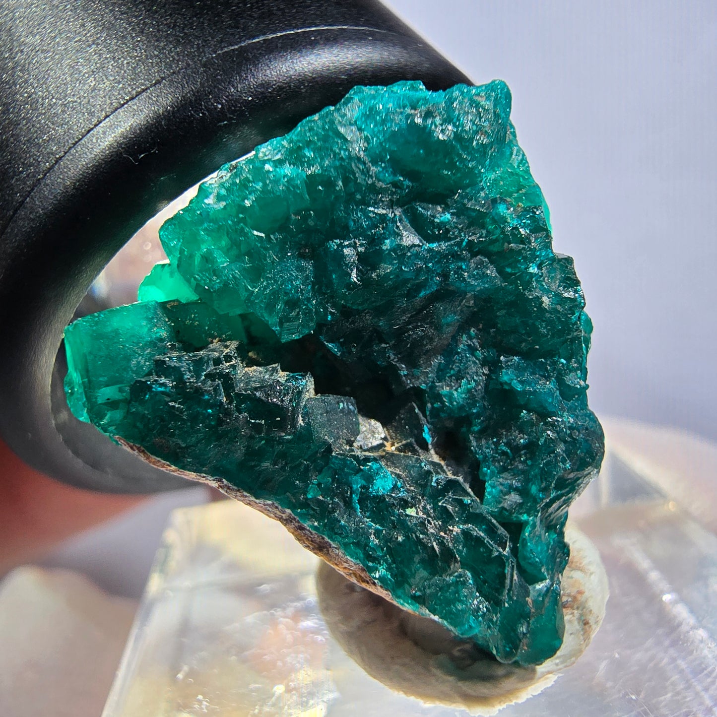 Seltene Dioptas XX Stufe, grün Republik Kongo 24*19*16mm