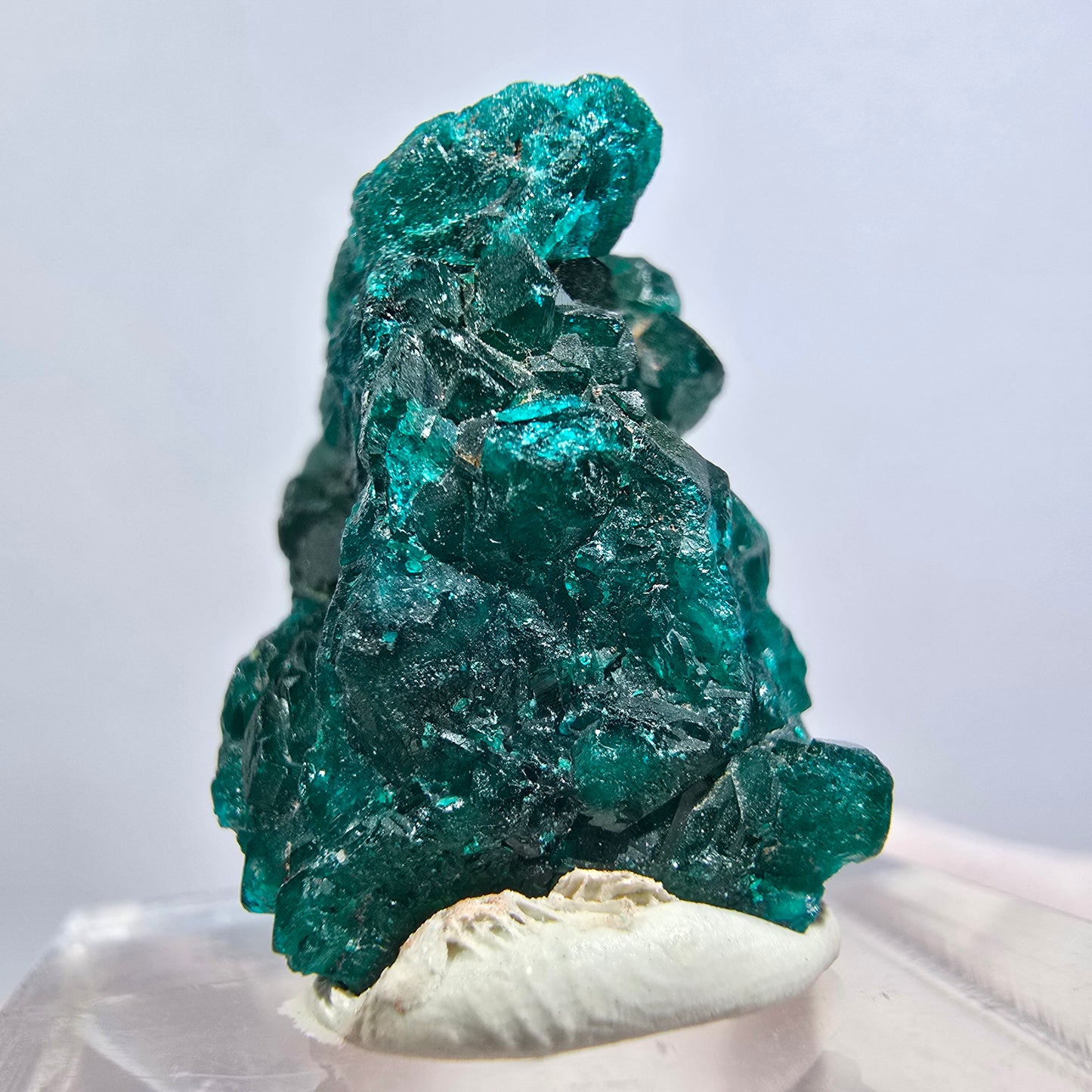 Seltene Dioptas XX Stufe, grün Republik Kongo 24*19*16mm