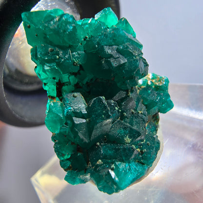 Seltene Dioptas XX Stufe, grün Republik Kongo 22*19*11mm