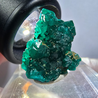 Seltene Dioptas XX Stufe, grün Republik Kongo 22*19*11mm