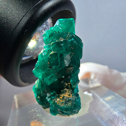 Seltene Dioptas XX Stufe, grün Republik Kongo 22*19*11mm