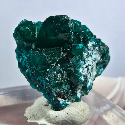 Seltene Dioptas XX Stufe, grün Republik Kongo 23*21*10mm