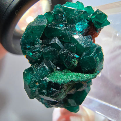 Seltene Dioptas auf Matrix Stufe, grün Republik Kongo 28*18*21mm