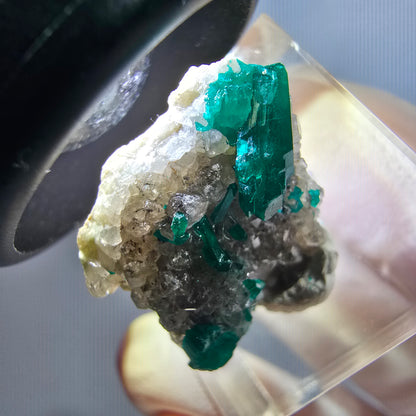 Seltene Dioptas XX, Calcit Stufe Republik Kongo 23*19*14mm