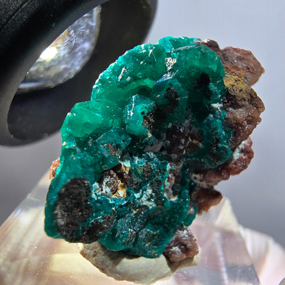 Seltene Dioptas auf Matrix Stufe, grün Republik Kongo 30*21*12mm