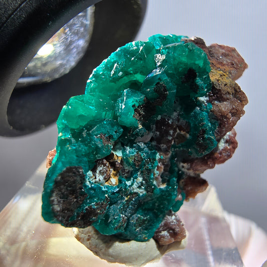 Seltene Dioptas auf Matrix Stufe, grün Republik Kongo 30*21*12mm