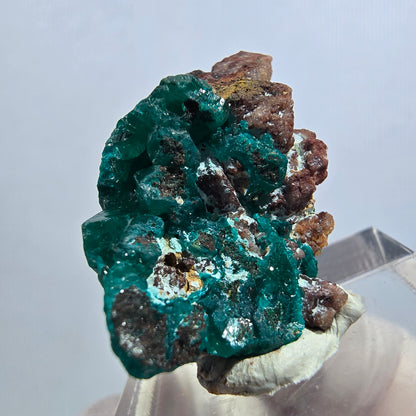 Seltene Dioptas auf Matrix Stufe, grün Republik Kongo 30*21*12mm