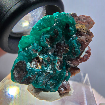 Seltene Dioptas auf Matrix Stufe, grün Republik Kongo 30*21*12mm