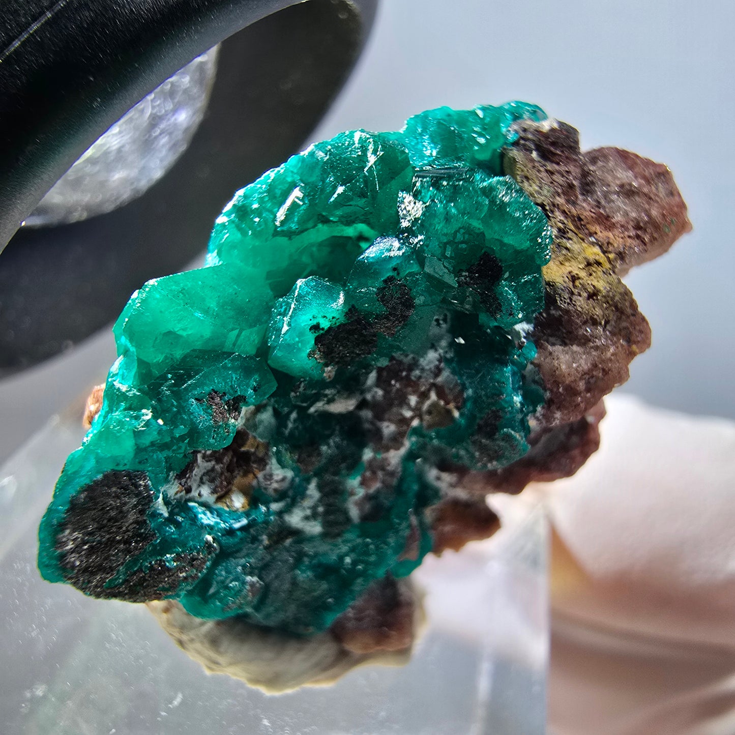 Seltene Dioptas auf Matrix Stufe, grün Republik Kongo 30*21*12mm