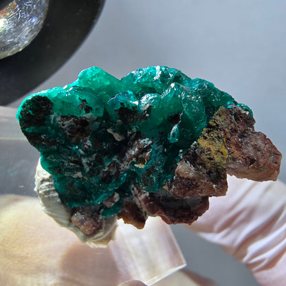 Seltene Dioptas auf Matrix Stufe, grün Republik Kongo 30*21*12mm