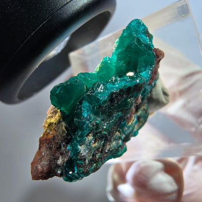 Seltene Dioptas auf Matrix Stufe, grün Republik Kongo 30*21*12mm