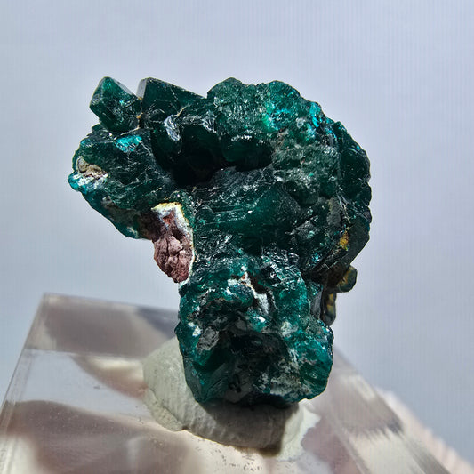 Seltene Dioptas XX Stufe, grün Republik Kongo 24*17*12mm