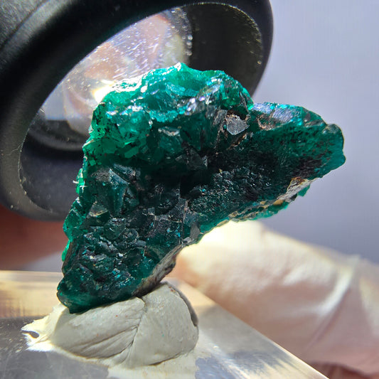 Seltene Dioptas XX Stufe, grün Republik Kongo 24*17*12mm