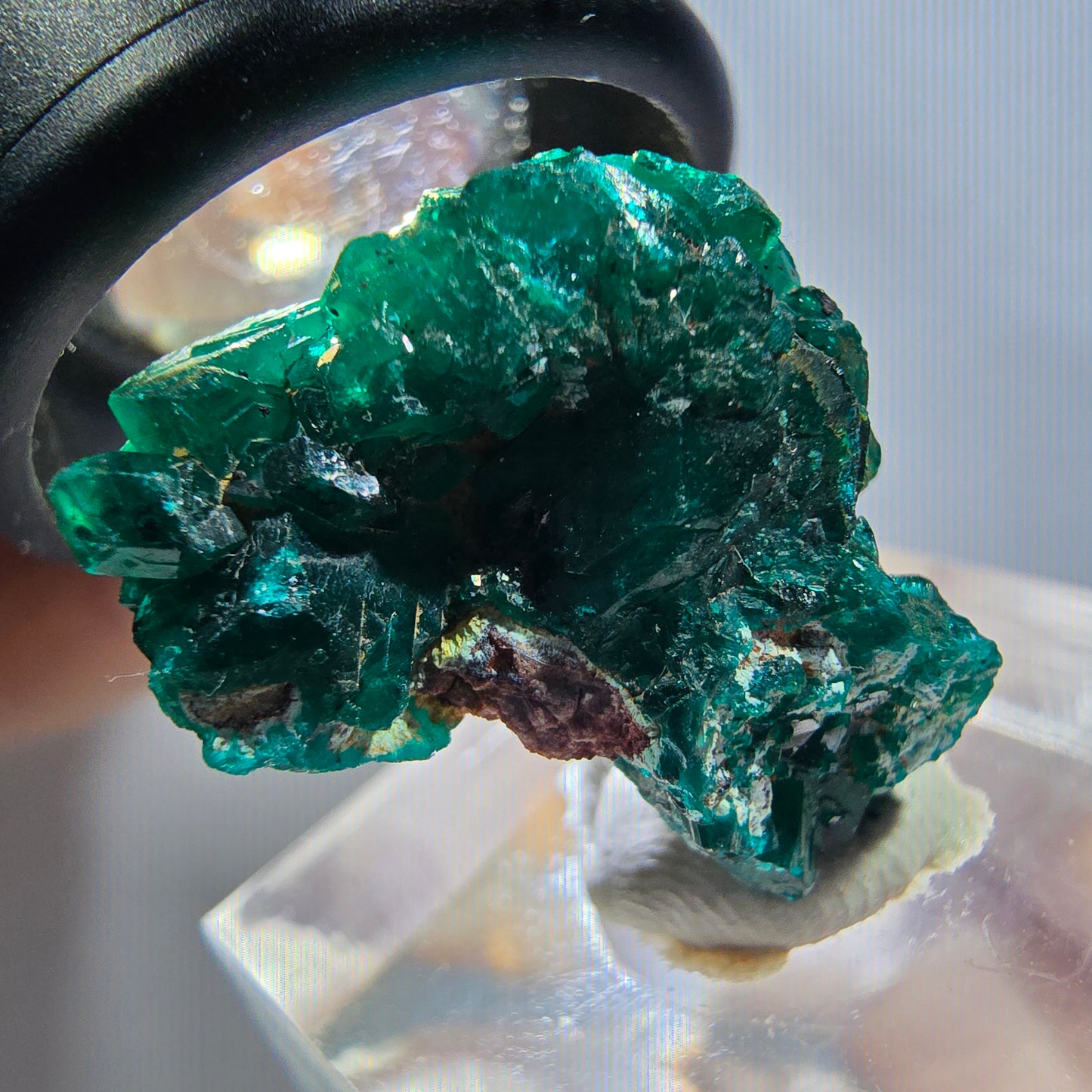 Seltene Dioptas XX Stufe, grün Republik Kongo 24*17*12mm