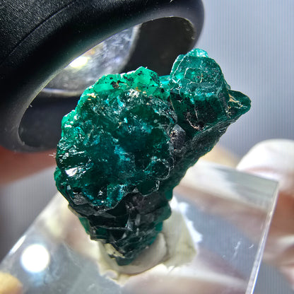 Seltene Dioptas XX Stufe, grün Republik Kongo 24*17*12mm