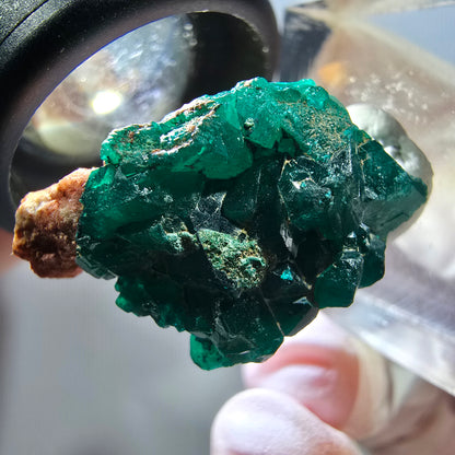 Seltene Dioptas auf Matrix Stufe, grün Republik Kongo 28*16*14mm