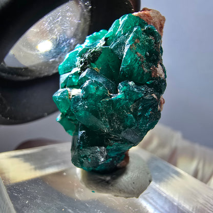 Seltene Dioptas auf Matrix Stufe, grün Republik Kongo 28*16*14mm