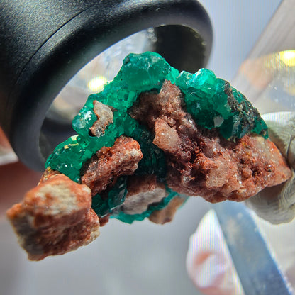 Seltene Dioptas auf Matrix Stufe, grün Republik Kongo 28*16*14mm