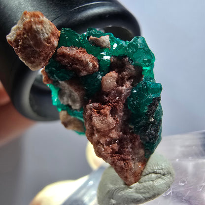 Seltene Dioptas auf Matrix Stufe, grün Republik Kongo 28*16*14mm