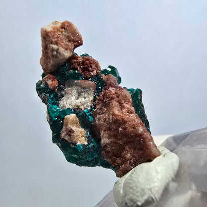 Seltene Dioptas auf Matrix Stufe, grün Republik Kongo 28*16*14mm