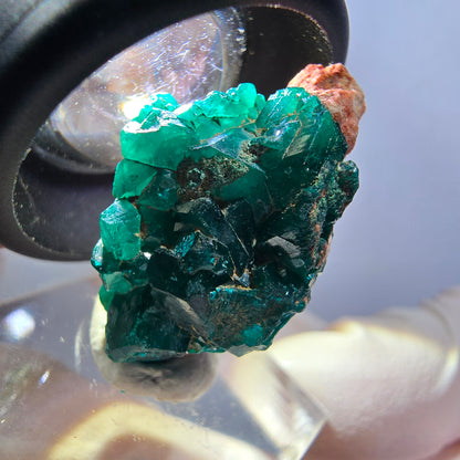 Seltene Dioptas auf Matrix Stufe, grün Republik Kongo 28*16*14mm