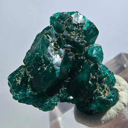 Seltene Dioptas XX Stufe, grün Republik Kongo 20*19*9mm