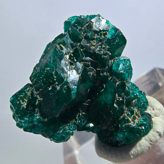 Seltene Dioptas XX Stufe, grün Republik Kongo 20*19*9mm