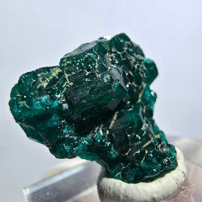 Seltene Dioptas XX Stufe, grün Republik Kongo 20*19*9mm