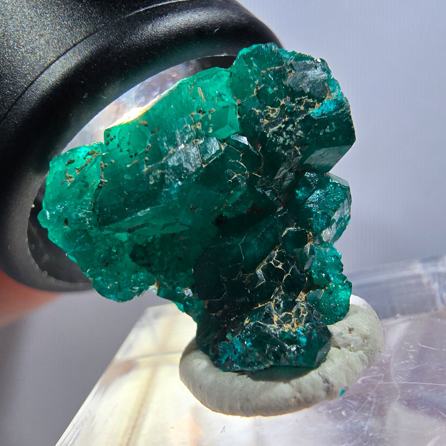 Seltene Dioptas XX Stufe, grün Republik Kongo 20*19*9mm