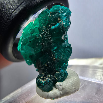 Seltene Dioptas XX Stufe, grün Republik Kongo 20*19*9mm