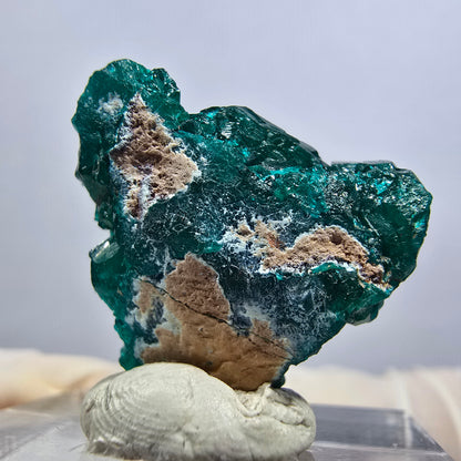 Seltene Dioptas XX Stufe, grün Republik Kongo 20*19*9mm