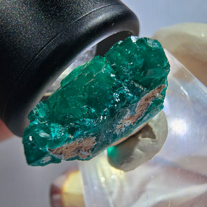 Seltene Dioptas XX Stufe, grün Republik Kongo 20*19*9mm