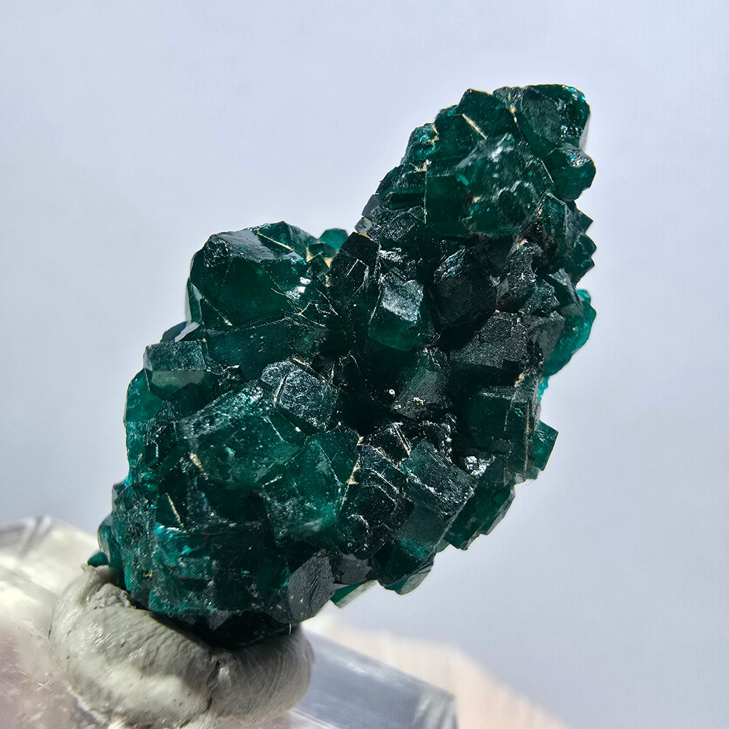 Seltene Dioptas XX Stufe, grün Republik Kongo 32*16*12mm