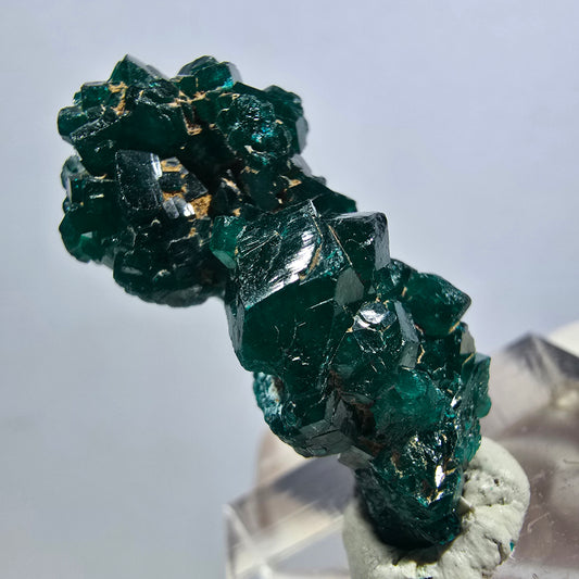 Seltene Dioptas XX Stufe, grün Republik Kongo 32*16*12mm