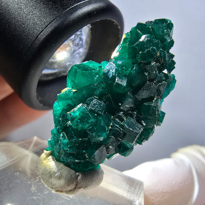 Seltene Dioptas XX Stufe, grün Republik Kongo 32*16*12mm