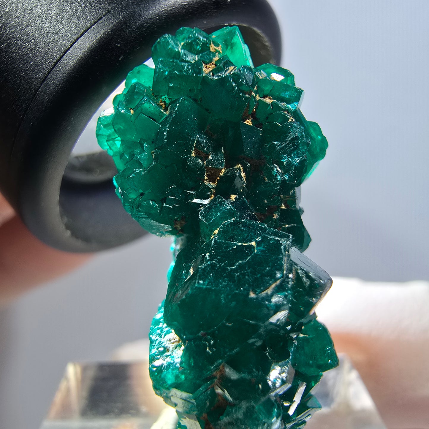 Seltene Dioptas XX Stufe, grün Republik Kongo 32*16*12mm