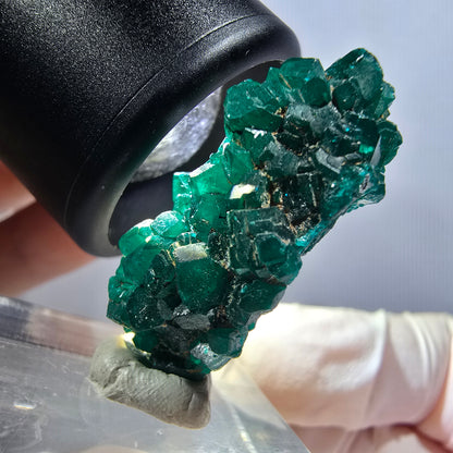 Seltene Dioptas XX Stufe, grün Republik Kongo 32*16*12mm