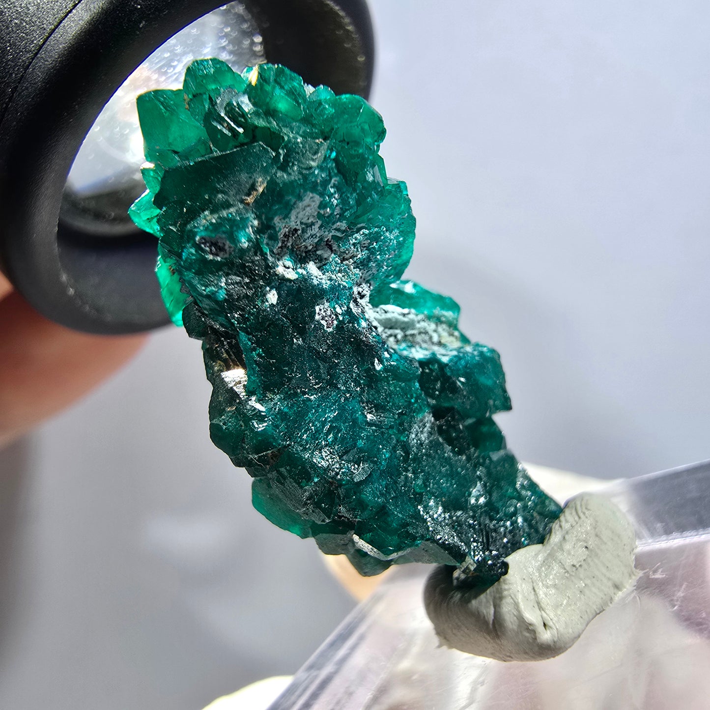 Seltene Dioptas XX Stufe, grün Republik Kongo 32*16*12mm