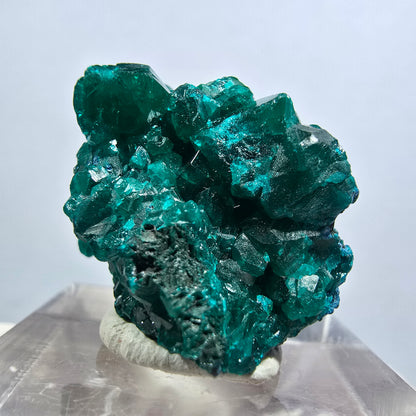 Seltene Dioptas XX Stufe, grün Republik Kongo 24*20*16mm